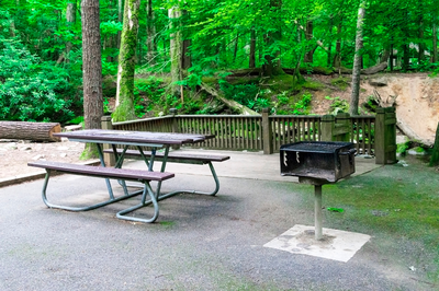 cades cove picnic area