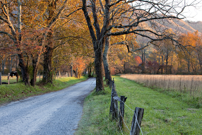 scenic drive in cades cove