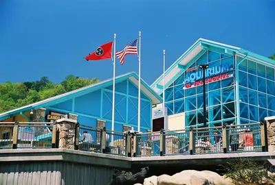 Ripley's Aquarium of The Smokies in Gatlinburg