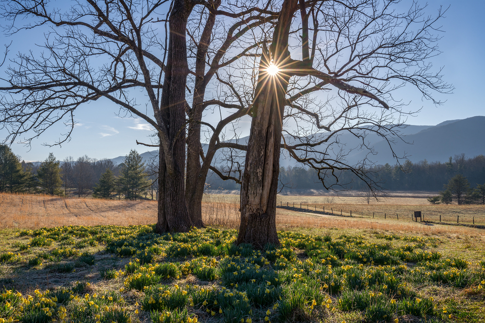 cades cove