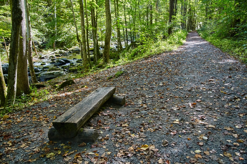 bench next to river on Gatlinburg Trail
